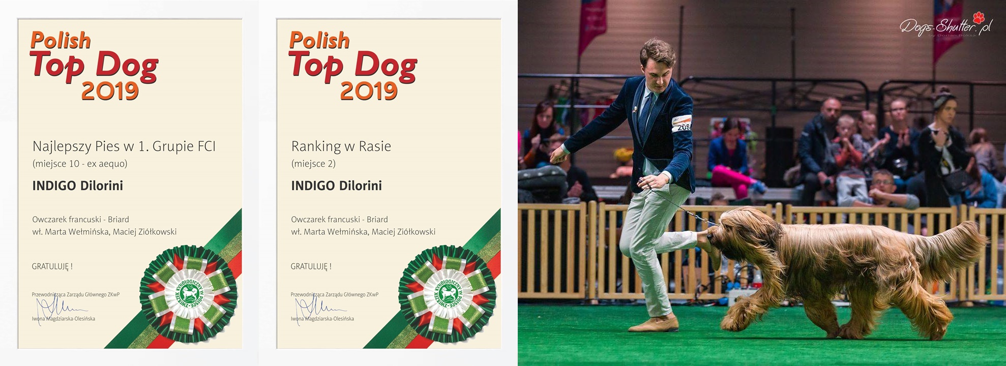 104754422 293502772027363 2241126062897565295 n horz