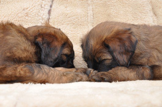 168647 105623012849239 1301336 n