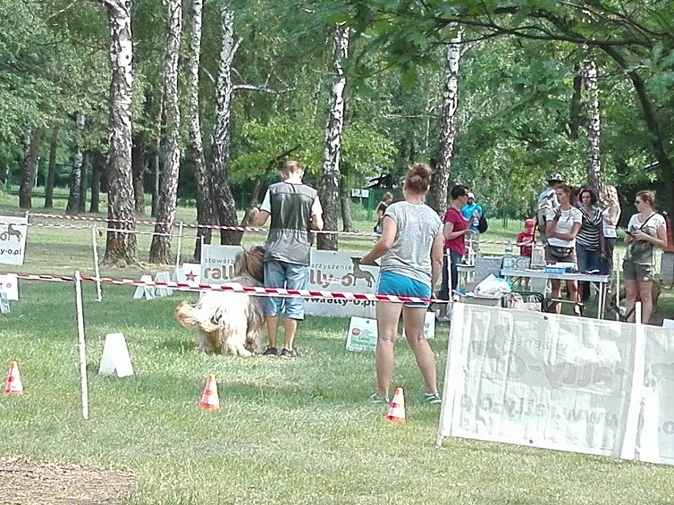 V mistrzostwa Rally0