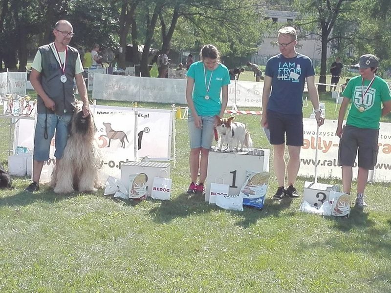 V mistrzostwa rallyo