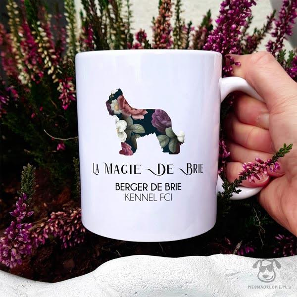 241307420 568213587967239 3136349377647777229 n 1