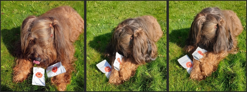 243450843 386926013085647 6326672491260726972 n horz