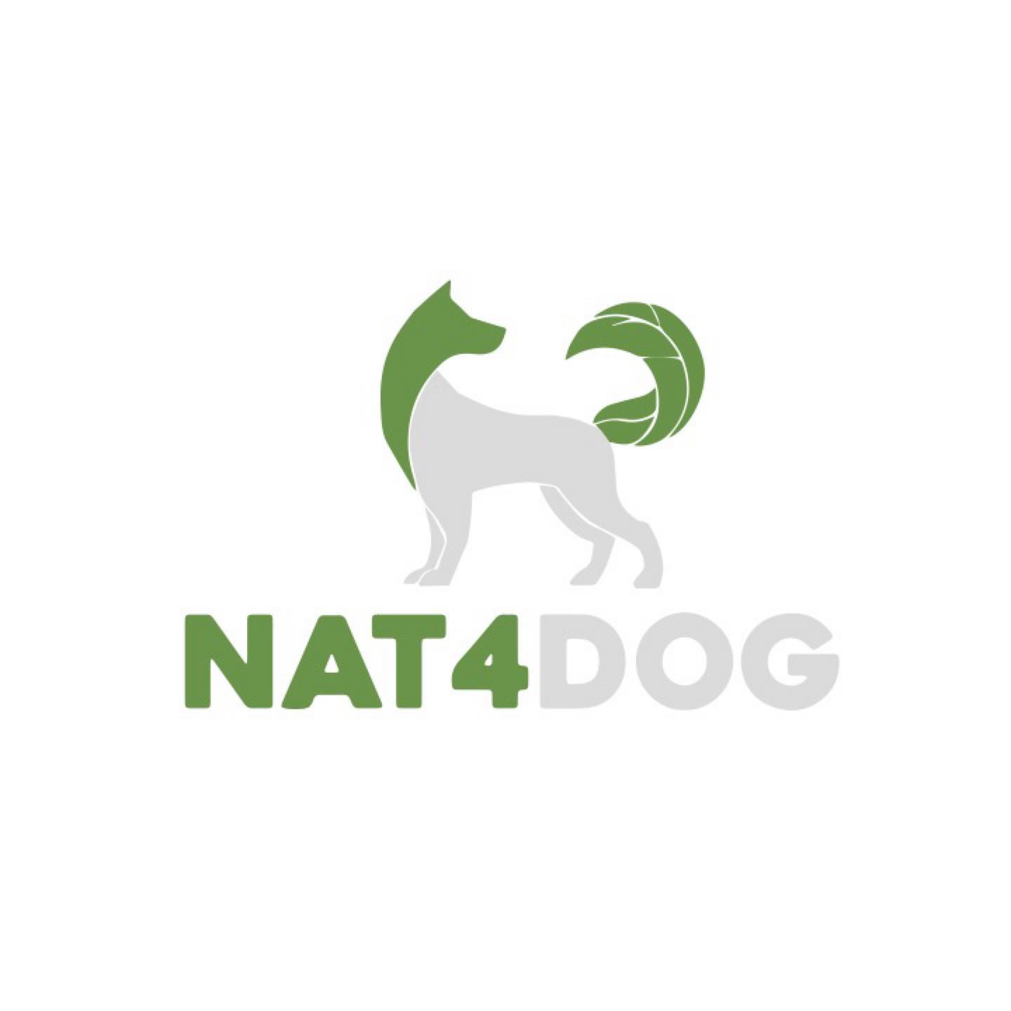 255859940 111360198022473 1599654226476517705 n