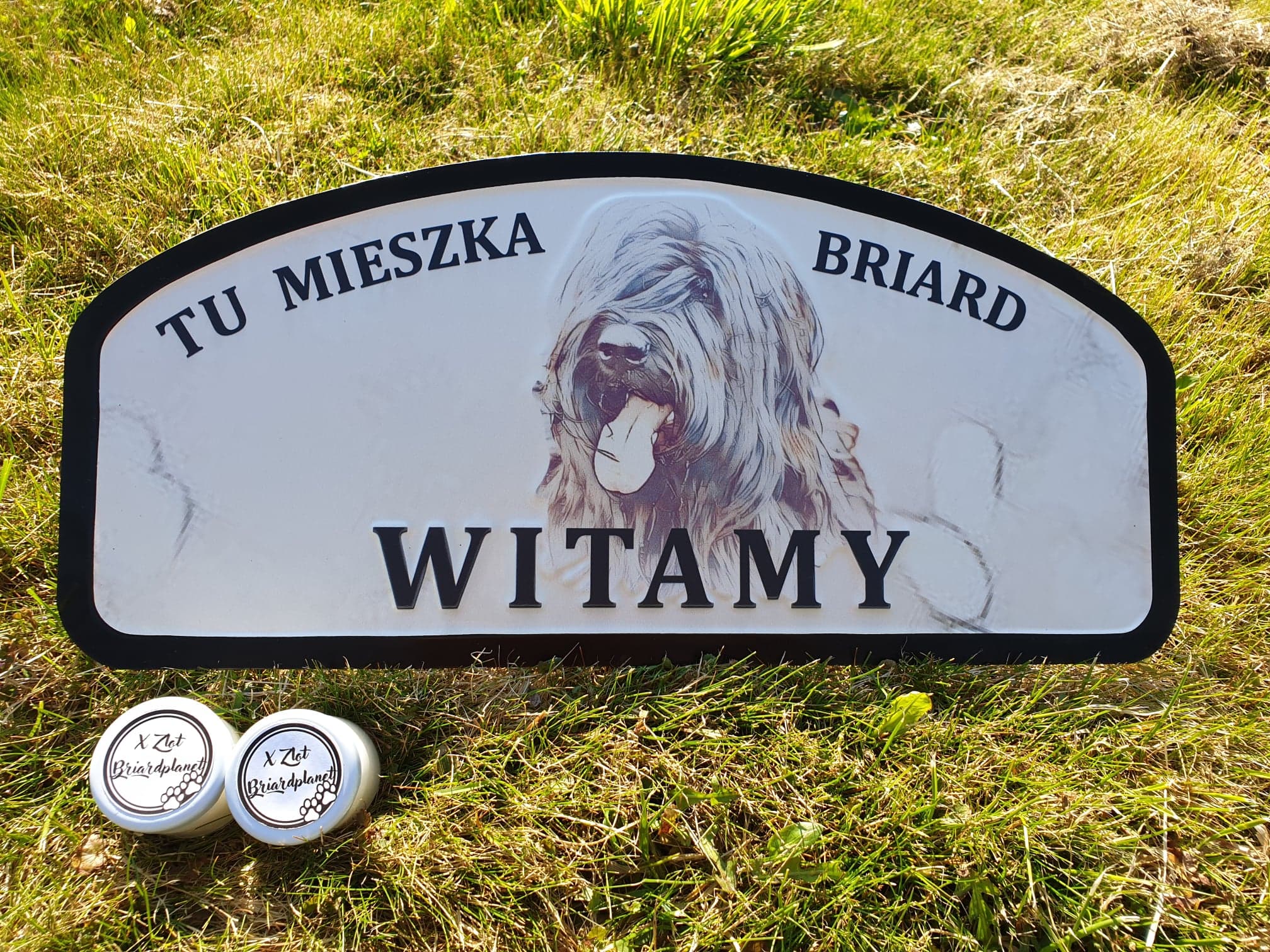 279273955 372139471534946 5950606181016254699 n