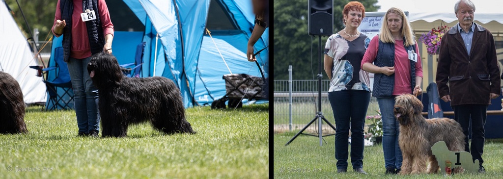 285784428 5088667451189195 1154032758868460119 n horz