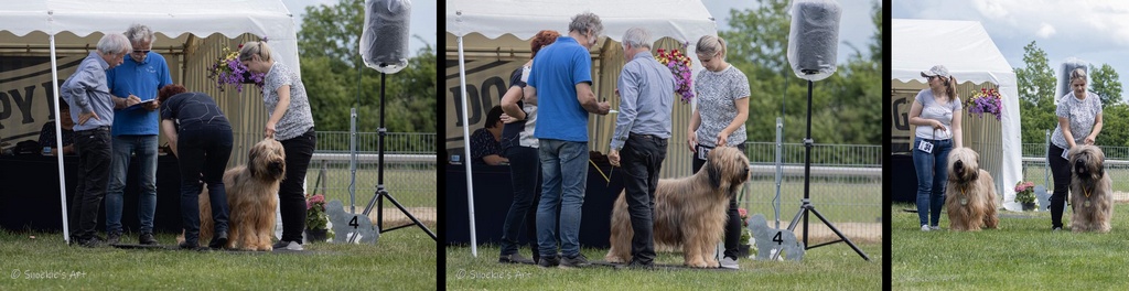 285790844 577081867238948 2692707142091952926 n horz