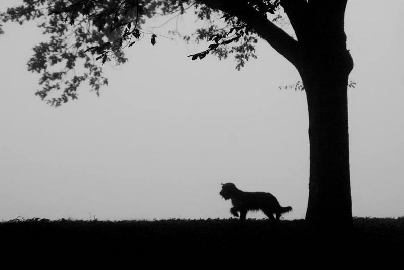 316753544 1162265371057325 5245297780749409733 n