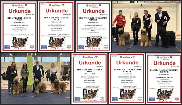 317840291 5340805679363479 5657003102111638932 n horz vert