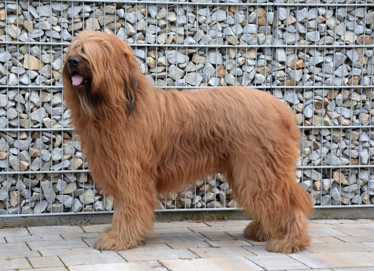 318333024 5574045416036279 8011440129993804583 n