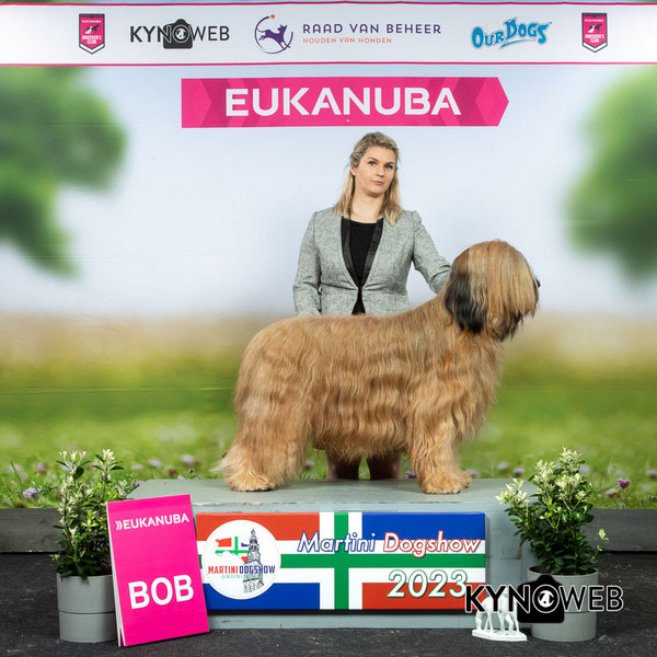 334155944 1263596834570209 3542881221950131405 n