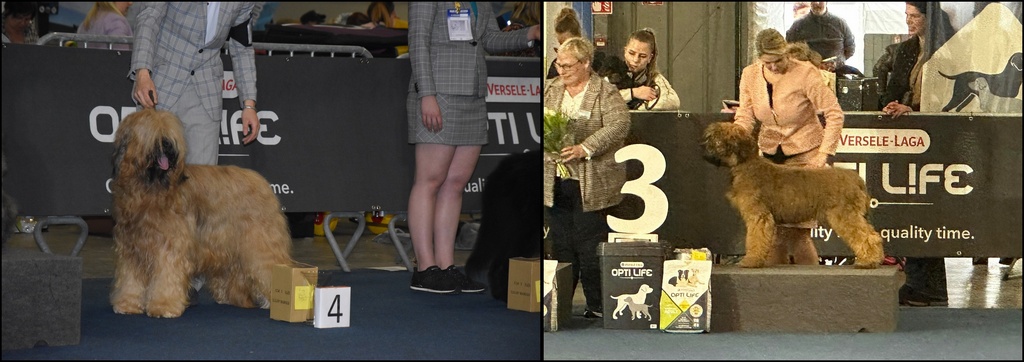 336700796 215697871131009 6054899589931087105 n horz