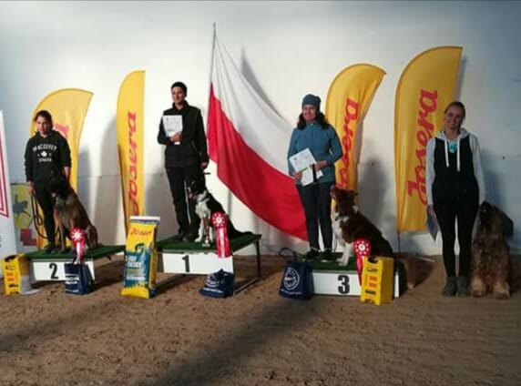 42933430 1881584468576739 3334050951446134784 n