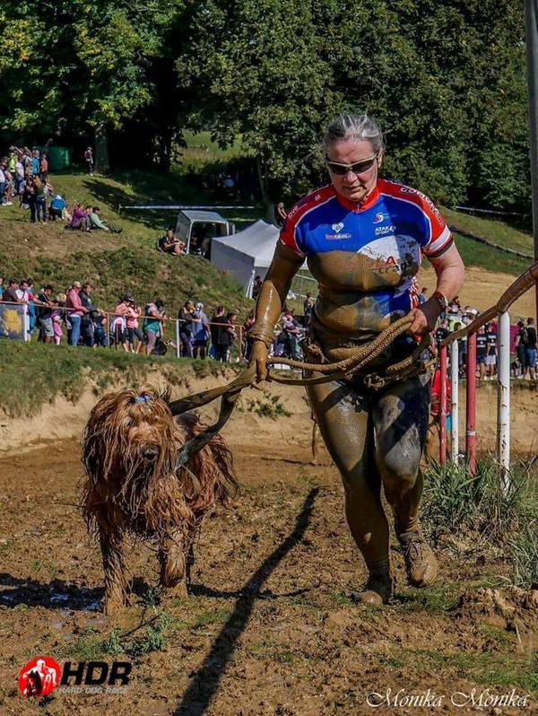 80850438 597672427442291 2324130271290458112 n