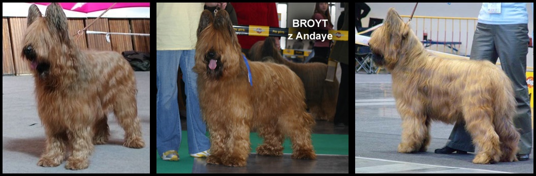 BroytzAndayefotogalerie horz