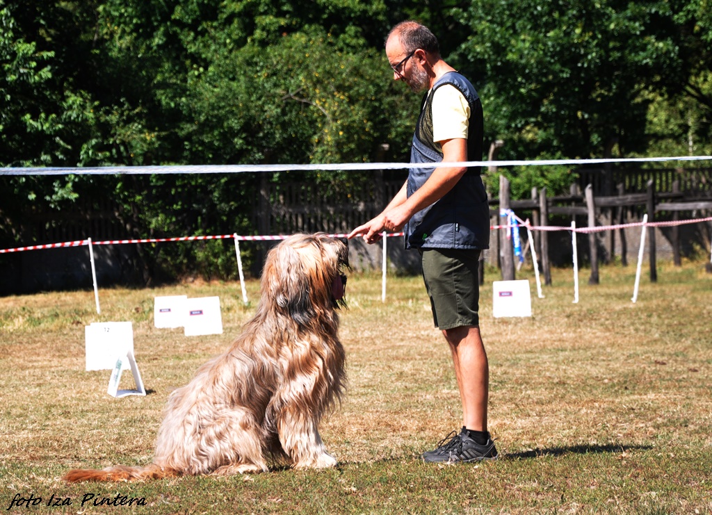 Zorro Rides Again Morawia Campanella