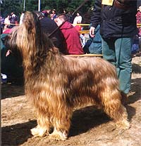 Nash du Domaine des Cypres