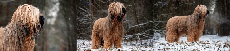 baci2023