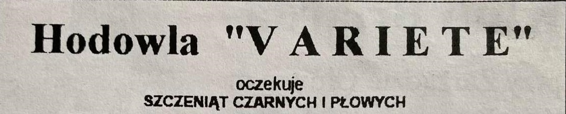 ogłvariete