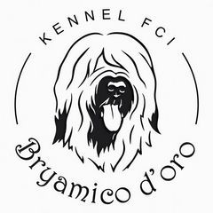 bryamicologo