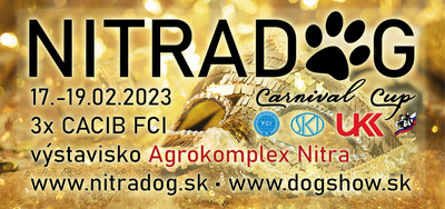 carnival cup nitra 900