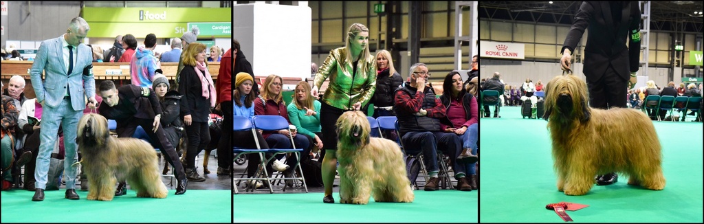 crufts23d