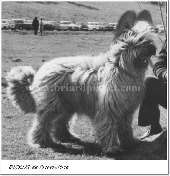 dickusdelhermitre