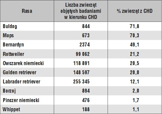 dysplazja1