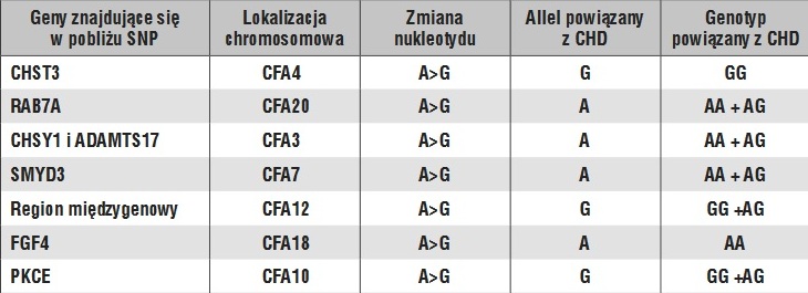 dysplazja2