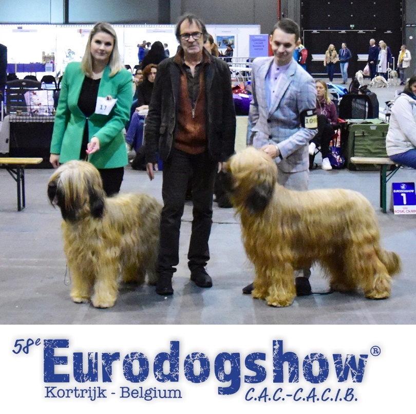 eurodogshov2022kot