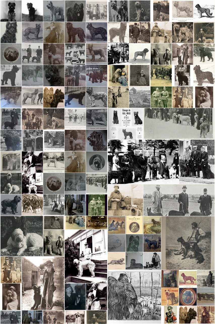 historia briarda