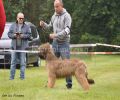 nbnbDSC_0193