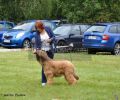 nbnbDSC_0254