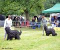 nbnbDSC_0279