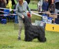 nbnbDSC_0281