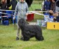 nbnbDSC_0283