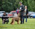 nbnbDSC_0290