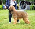 nbnbDSC_0296