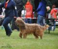 nbnbDSC_0329