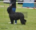 nbnbDSC_0359
