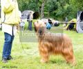 nbnbDSC_0365