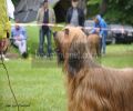 nbnbDSC_0371