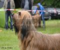 nbnbDSC_0373