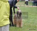 nbnbDSC_0393