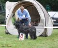 nbnbDSC_0402
