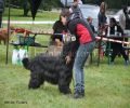 nbnbDSC_0407