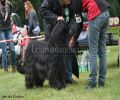 nbnbDSC_0430