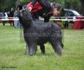 nbnbDSC_0478