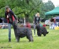 nbnbDSC_0480