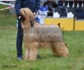 nbnbDSC_0530