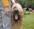nbnbDSC_0540
